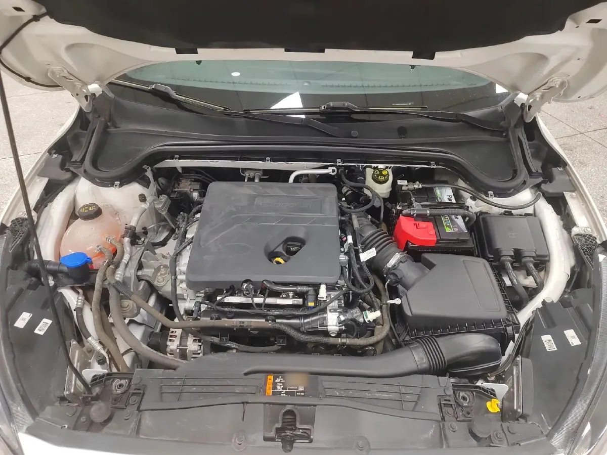 2021 Ford Focus 1.5T 174HP L3 8AT,autocango,china used car exporter,china ev exporter,chinese used car exporter,chinese used ev exporter