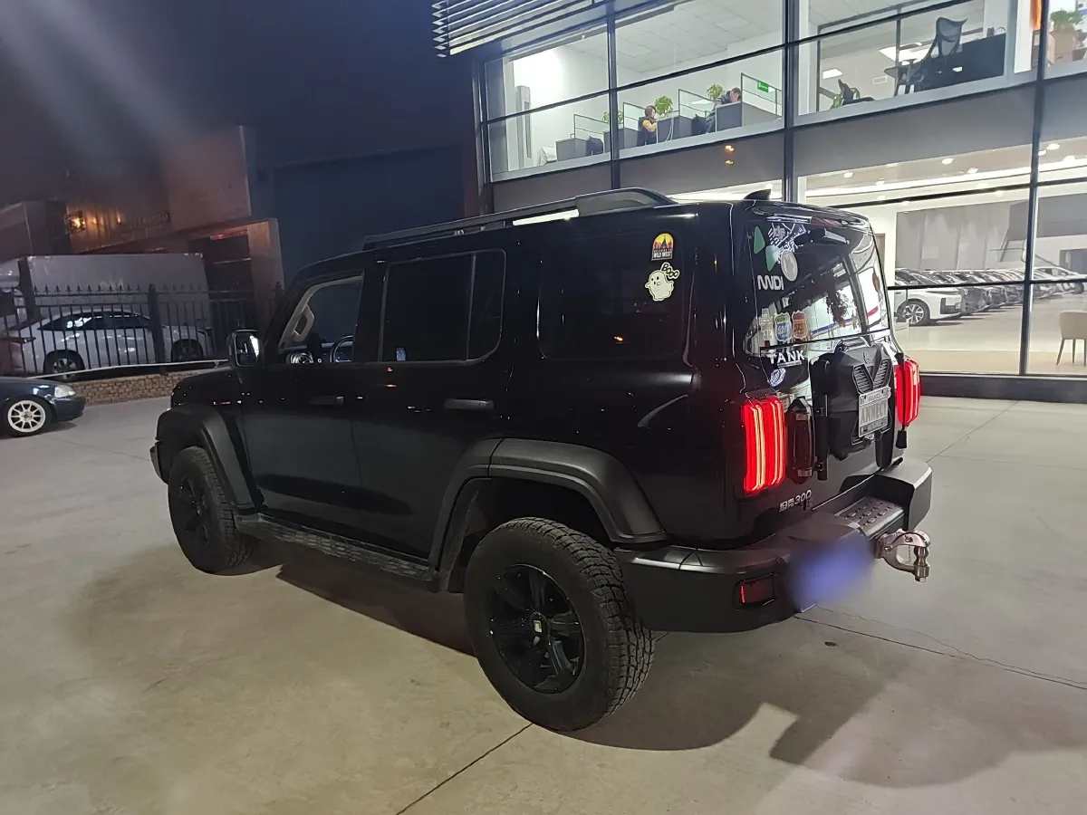 2021 Tank 300 2.0T 227HP L4 8AT,autocango,china used car exporter,china ev exporter,chinese used car exporter,chinese used ev exporter