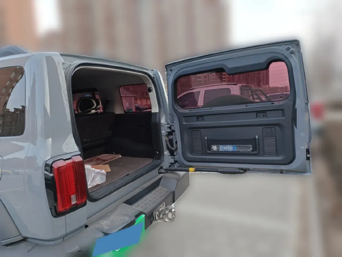 2021 Tank 300 2.0T 227HP L4 8AT,autocango,china used car exporter,china ev exporter,chinese used car exporter,chinese used ev exporter