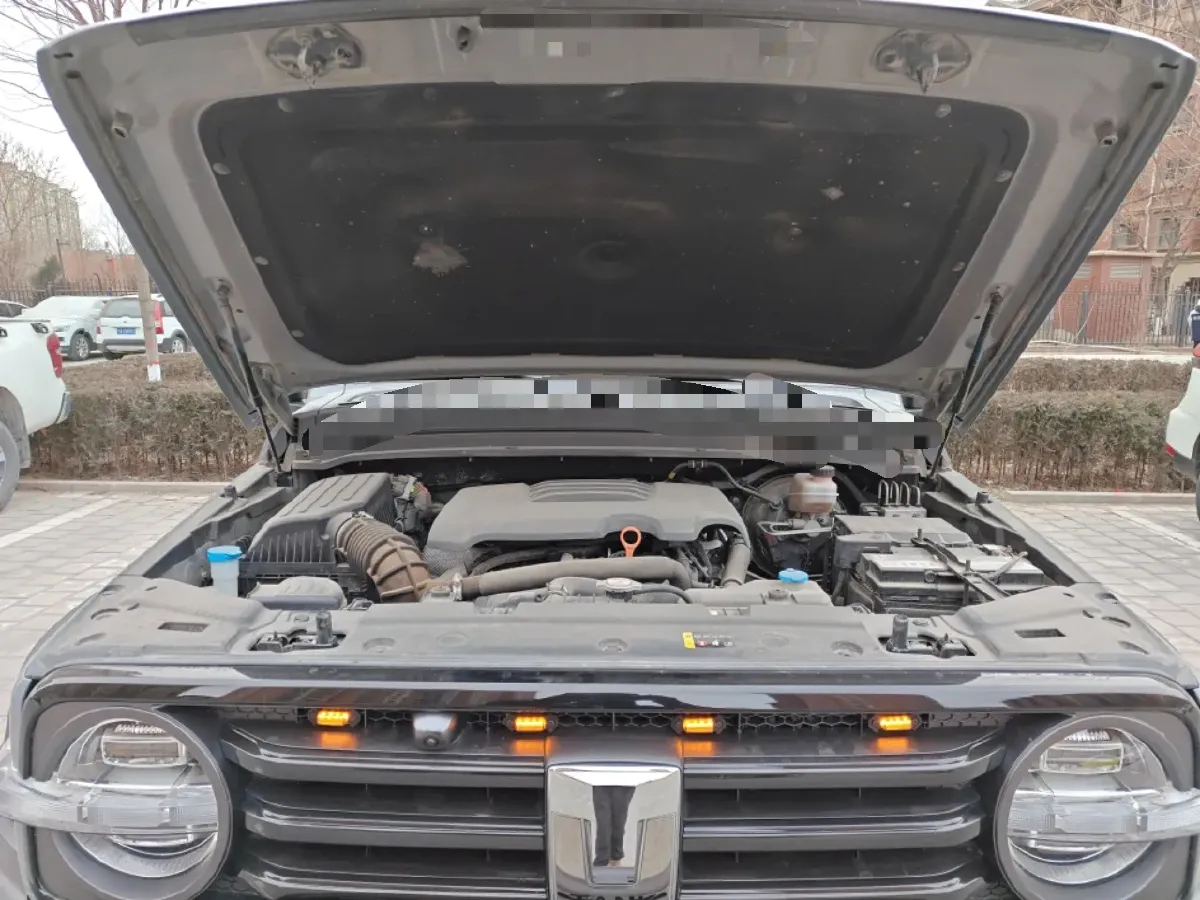 2021 Tank 300 2.0T 227HP L4 8AT,autocango,china used car exporter,china ev exporter,chinese used car exporter,chinese used ev exporter