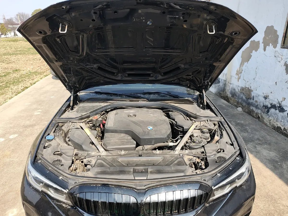 2021 BMW 3 Series 2.0T 258HP L4 8AT,autocango,china used car exporter,china ev exporter,chinese used car exporter,chinese used ev exporter