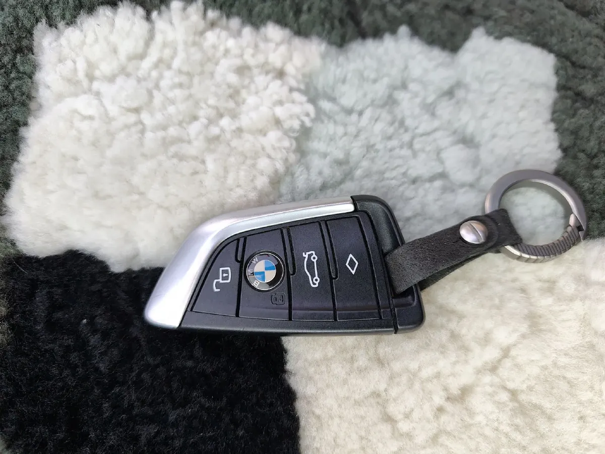 2021 BMW 3 Series 2.0T 258HP L4 8AT,autocango,china used car exporter,china ev exporter,chinese used car exporter,chinese used ev exporter