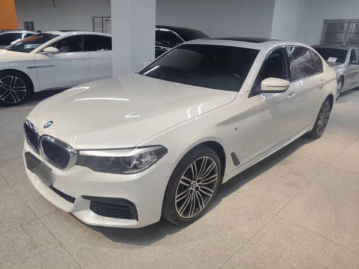 2019 BMW 5 Series 2.0T 252HP L4 8AT