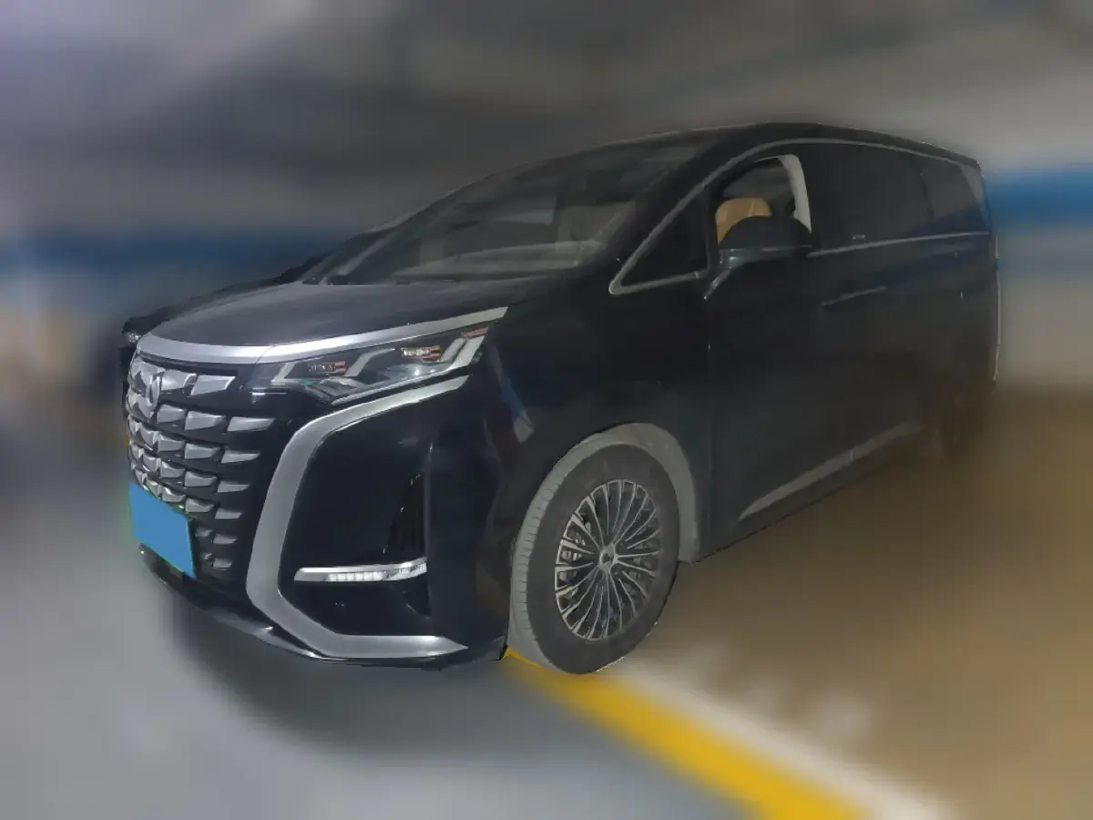 2023 Denza D9 1.5T 139HP L4 E-CVT PHEV 20.39KWH