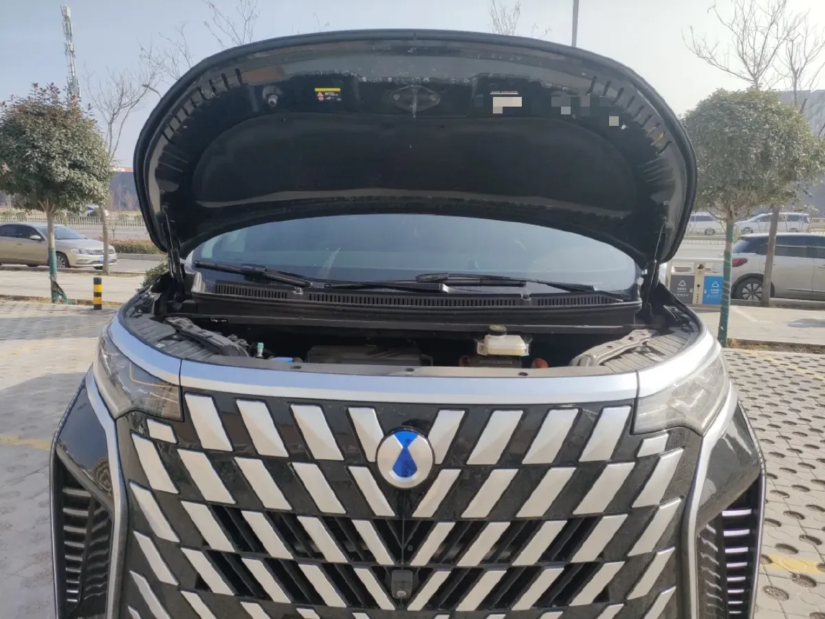2022 Denza D9 1.5T 139HP L4 E-CVT PHEV 40.06KWH,autocango,china used car exporter,china ev exporter,chinese used car exporter,chinese used ev exporter