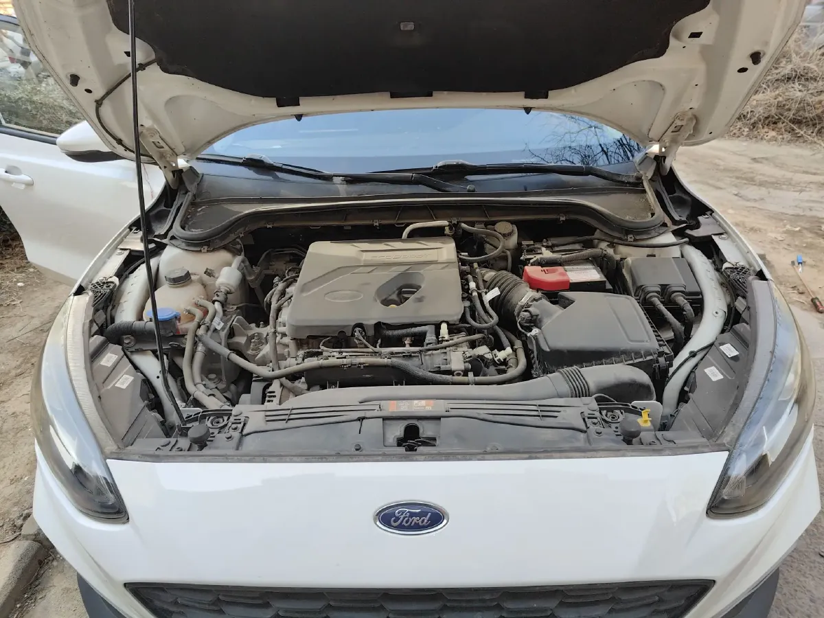 2020 Ford Focus Active 1.5T 174HP L3 8AT,autocango,china used car exporter,china ev exporter,chinese used car exporter,chinese used ev exporter