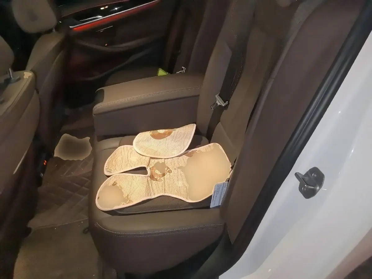 2020 BMW 5 Series 2.0T 184HP L4 8AT,autocango,china used car exporter,china ev exporter,chinese used car exporter,chinese used ev exporter