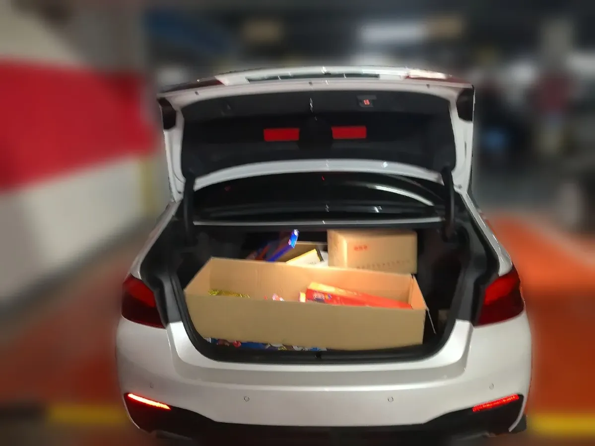 2020 BMW 5 Series 2.0T 184HP L4 8AT,autocango,china used car exporter,china ev exporter,chinese used car exporter,chinese used ev exporter