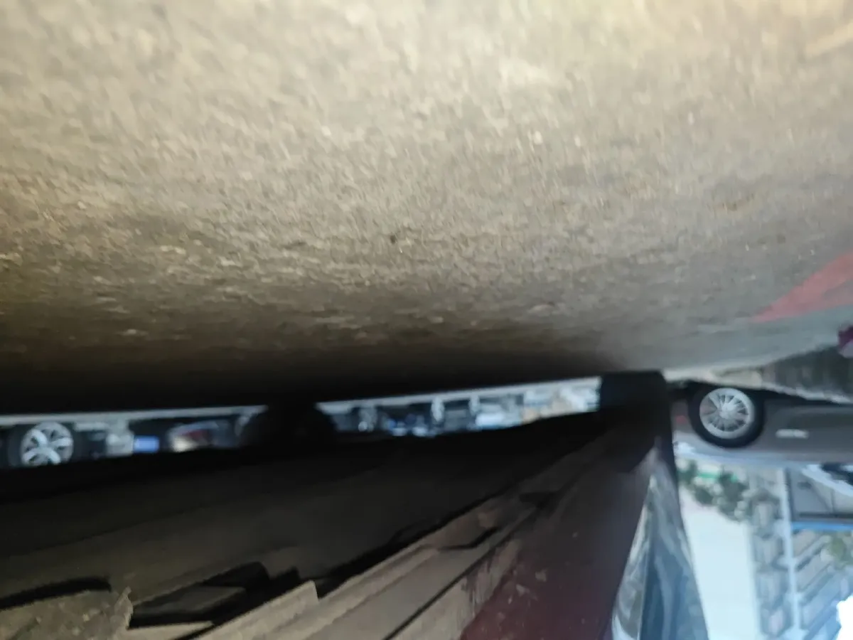 2022 Ford Focus 1.5T 177HP L4 6AT,autocango,china used car exporter,china ev exporter,chinese used car exporter,chinese used ev exporter