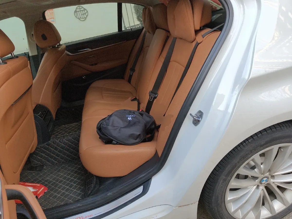 2019 BMW 5 Series 2.0T 252HP L4 8AT,autocango,china used car exporter,china ev exporter,chinese used car exporter,chinese used ev exporter