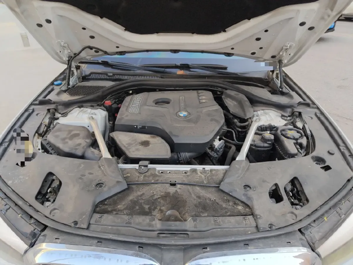 2019 BMW 5 Series 2.0T 252HP L4 8AT,autocango,china used car exporter,china ev exporter,chinese used car exporter,chinese used ev exporter