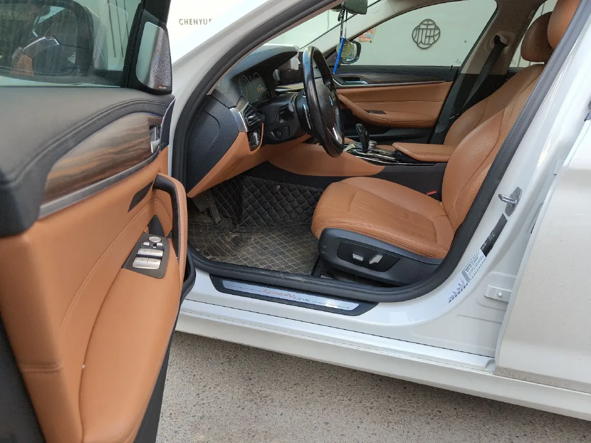 2019 BMW 5 Series 2.0T 252HP L4 8AT,autocango,china used car exporter,china ev exporter,chinese used car exporter,chinese used ev exporter