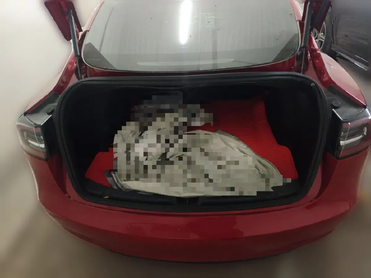 2019 Tesla Model 3 BEV 81KWH,autocango,china used car exporter,china ev exporter,chinese used car exporter,chinese used ev exporter