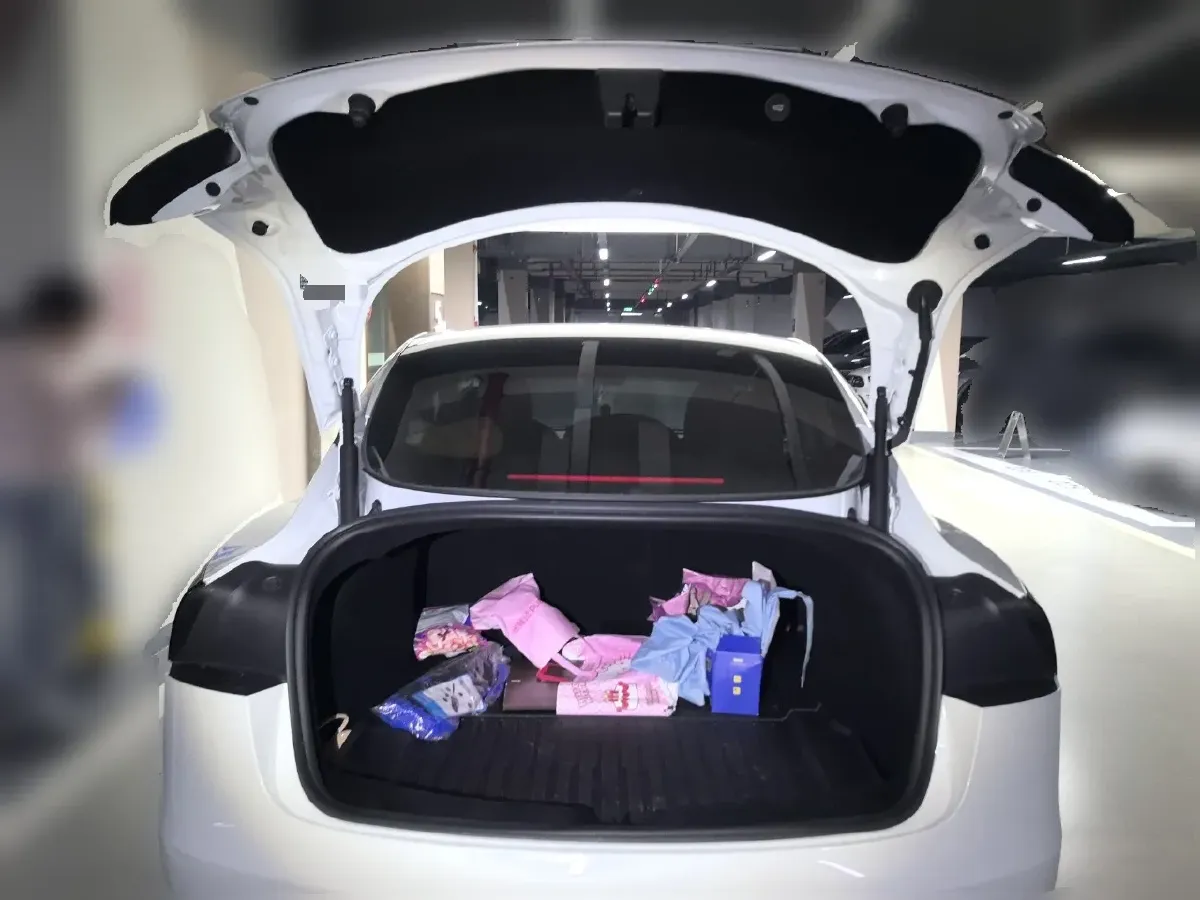 2023 Tesla Model 3 BEV 60KWH,autocango,china used car exporter,china ev exporter,chinese used car exporter,chinese used ev exporter