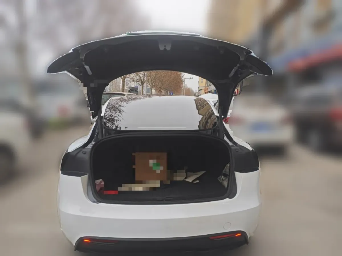 2023 Tesla Model 3 BEV 60KWH,autocango,china used car exporter,china ev exporter,chinese used car exporter,chinese used ev exporter