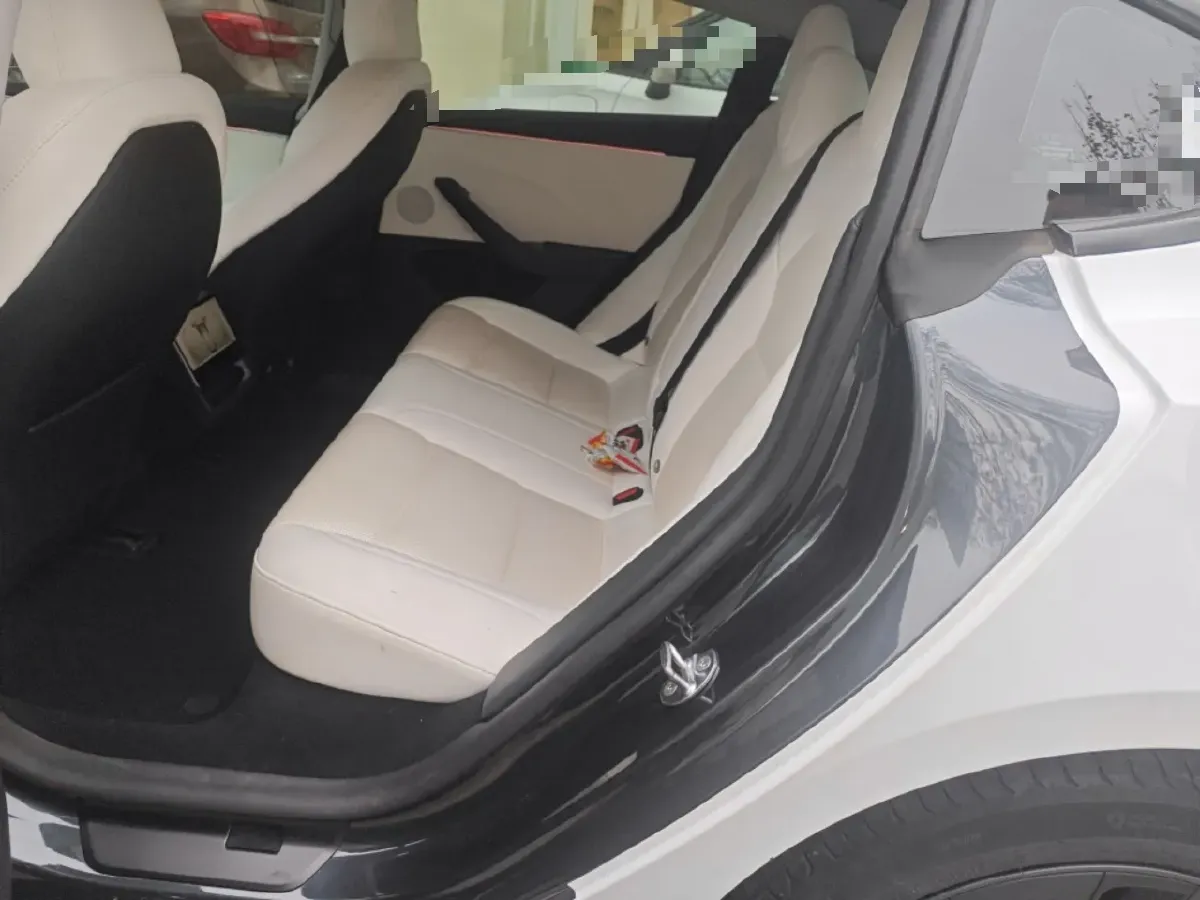 2023 Tesla Model 3 BEV 60KWH,autocango,china used car exporter,china ev exporter,chinese used car exporter,chinese used ev exporter