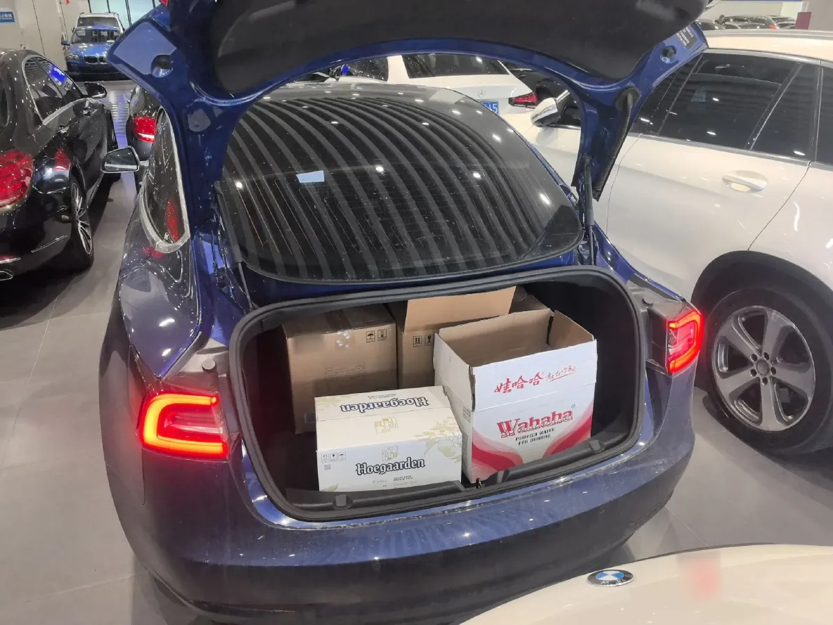 2020 Tesla Model 3 BEV 55KWH,autocango,china used car exporter,china ev exporter,chinese used car exporter,chinese used ev exporter