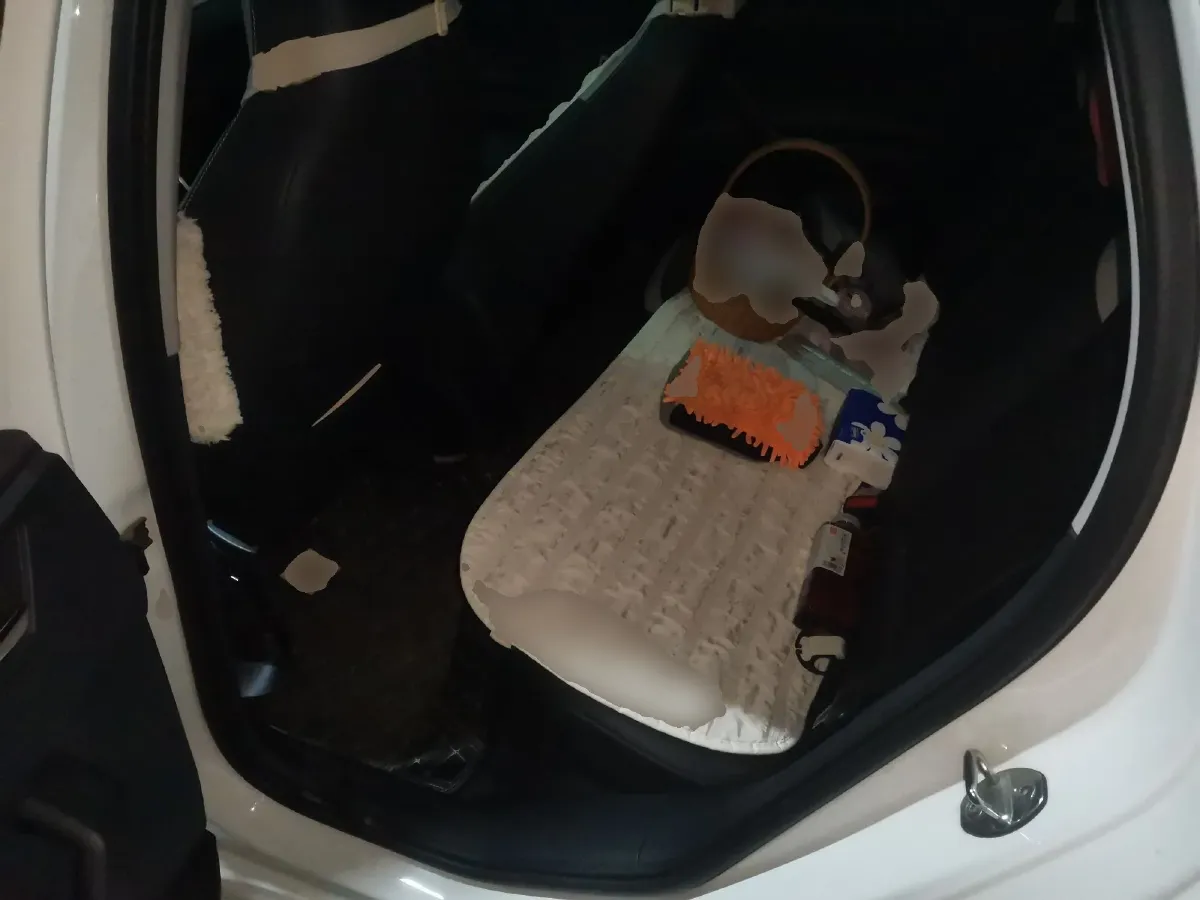 2021 Volkswagen Polo 1.5L 113HP L4 6AT,autocango,china used car exporter,china ev exporter,chinese used car exporter,chinese used ev exporter