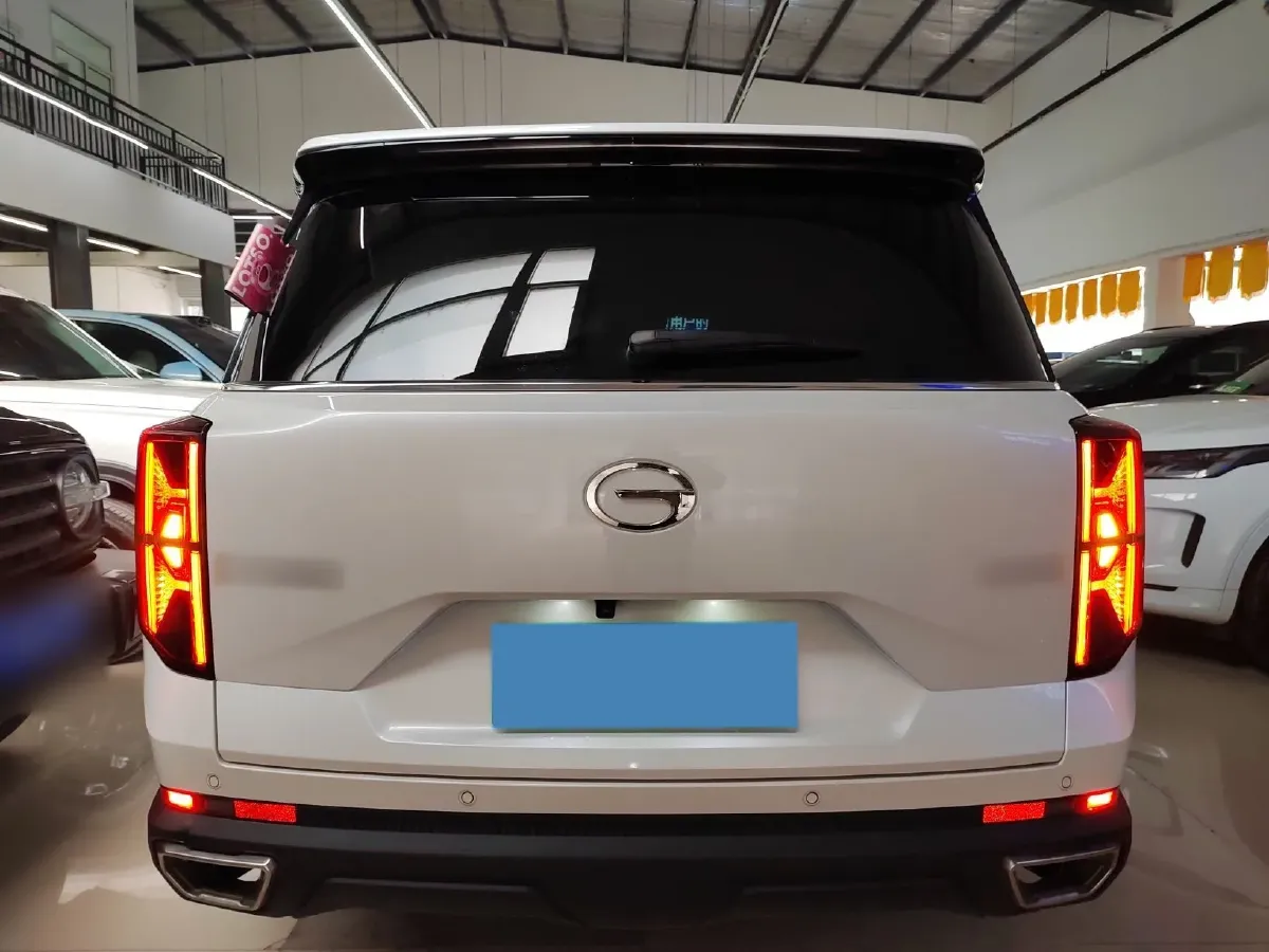 2024 GAC Trumpchi GS8 2.0T 252HP L4 8AT,autocango,china used car exporter,china ev exporter,chinese used car exporter,chinese used ev exporter