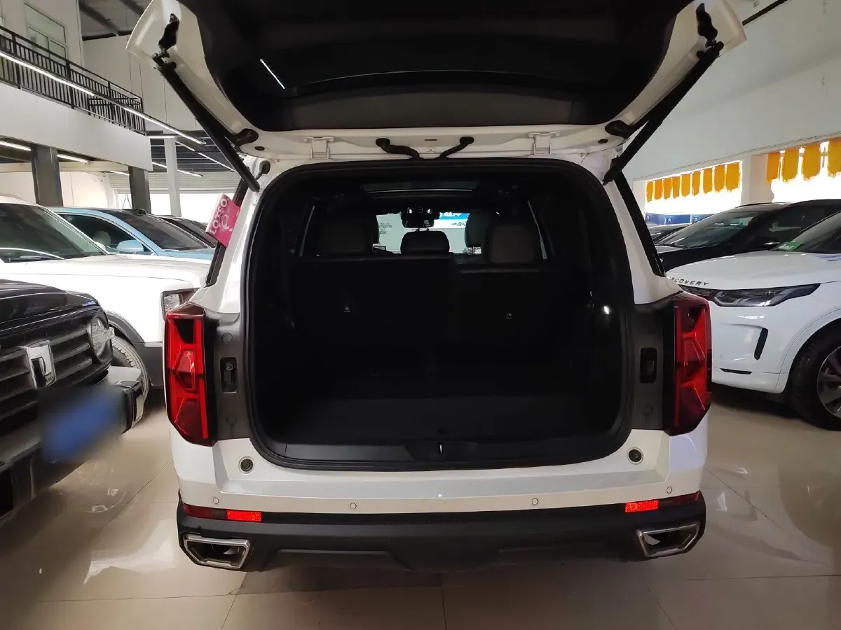 2024 GAC Trumpchi GS8 2.0T 252HP L4 8AT,autocango,china used car exporter,china ev exporter,chinese used car exporter,chinese used ev exporter