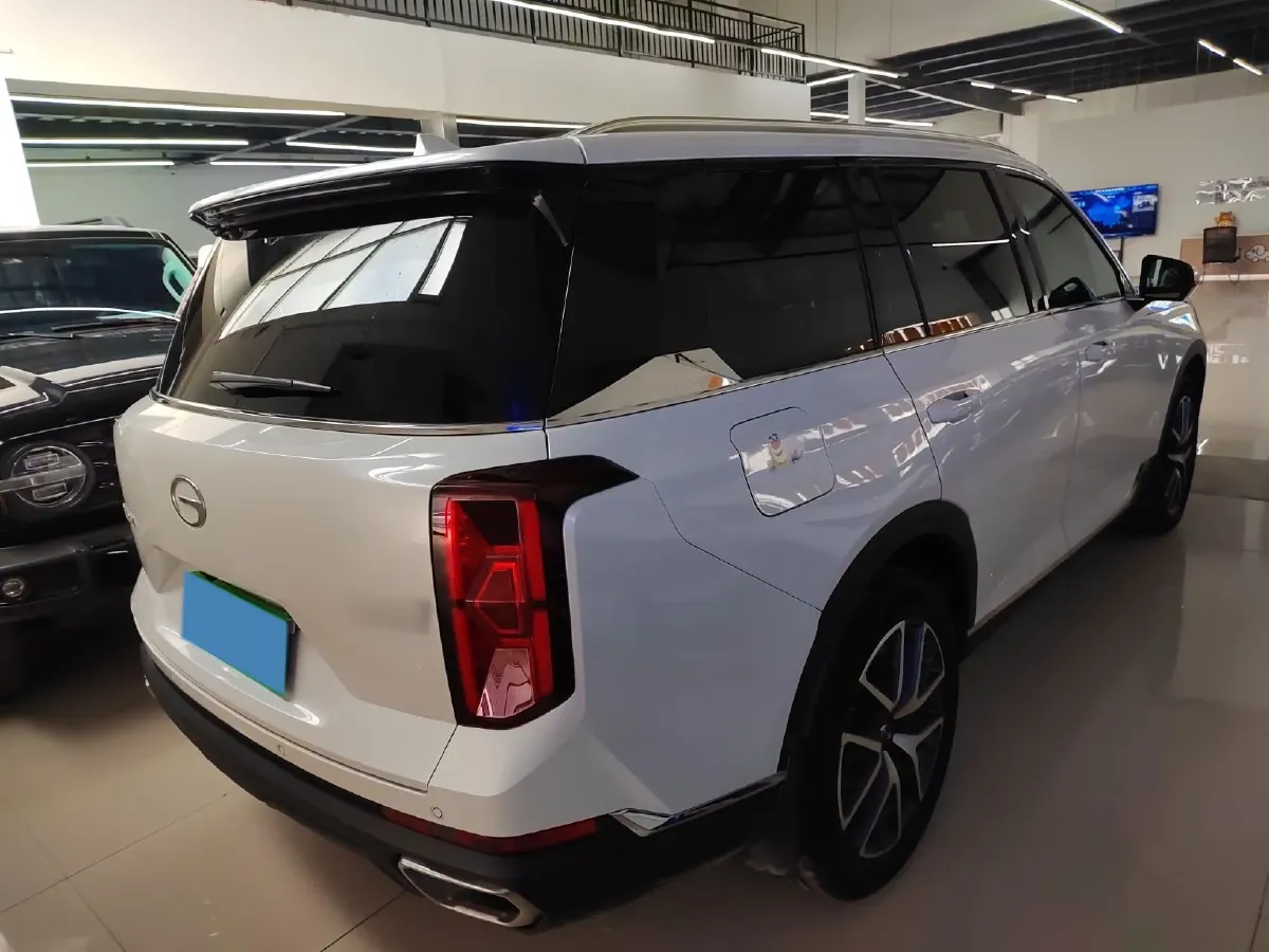 2024 GAC Trumpchi GS8 2.0T 252HP L4 8AT,autocango,china used car exporter,china ev exporter,chinese used car exporter,chinese used ev exporter