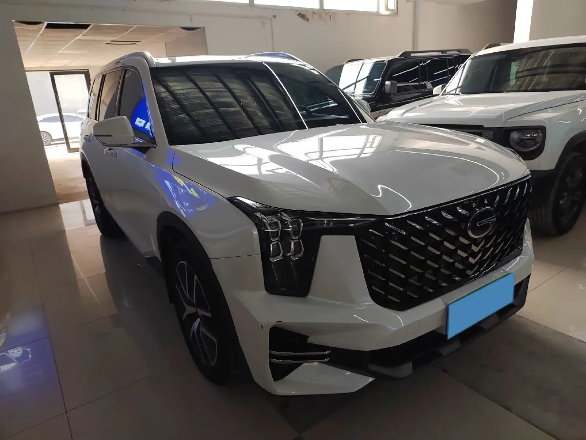 2024 GAC Trumpchi GS8 2.0T 252HP L4 8AT,autocango,china used car exporter,china ev exporter,chinese used car exporter,chinese used ev exporter