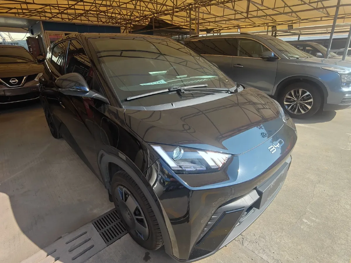 2024 BYD Seagull BEV 30.08KWH,autocango,china used car exporter,china ev exporter,chinese used car exporter,chinese used ev exporter