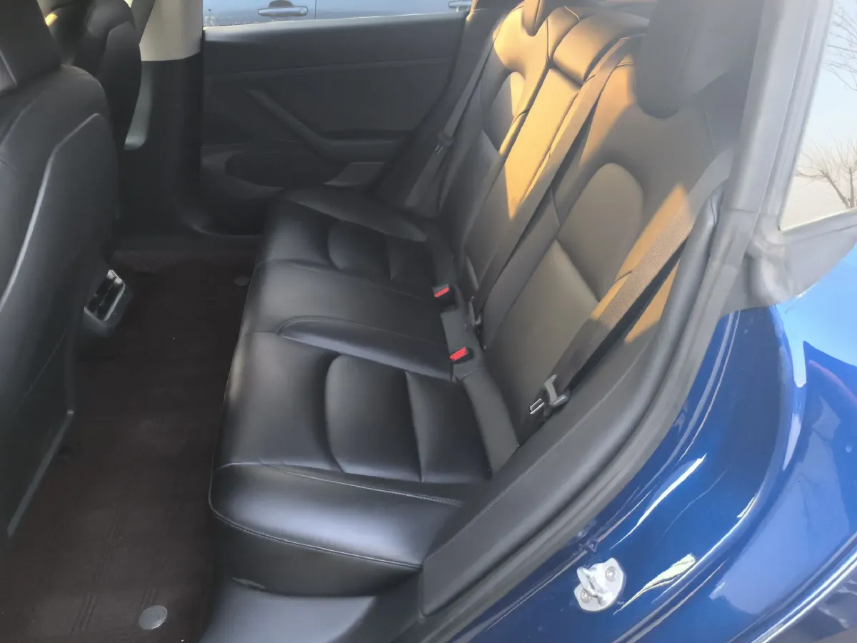 2020 Tesla Model 3 BEV 52KWH,autocango,china used car exporter,china ev exporter,chinese used car exporter,chinese used ev exporter