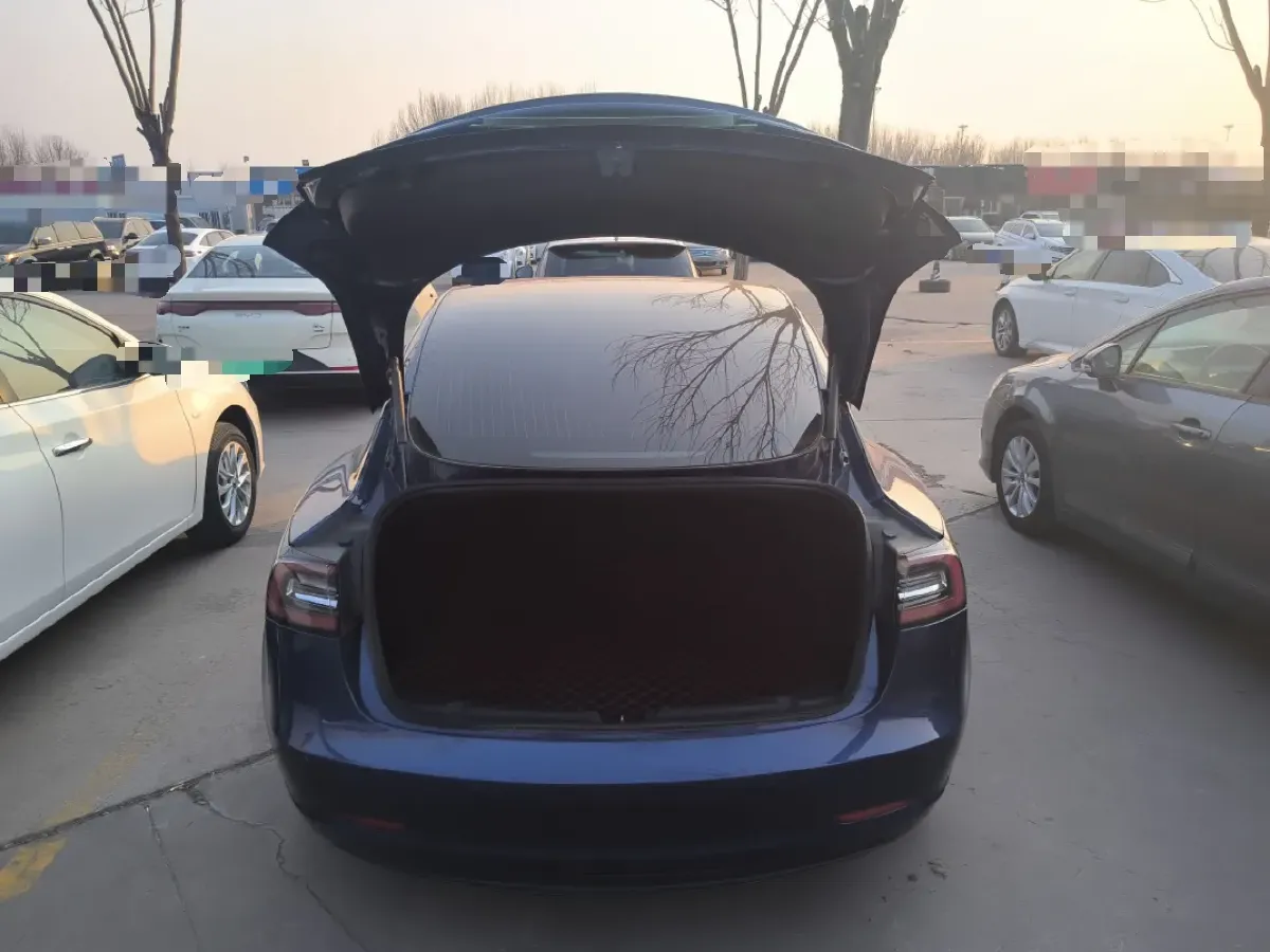 2020 Tesla Model 3 BEV 52KWH,autocango,china used car exporter,china ev exporter,chinese used car exporter,chinese used ev exporter