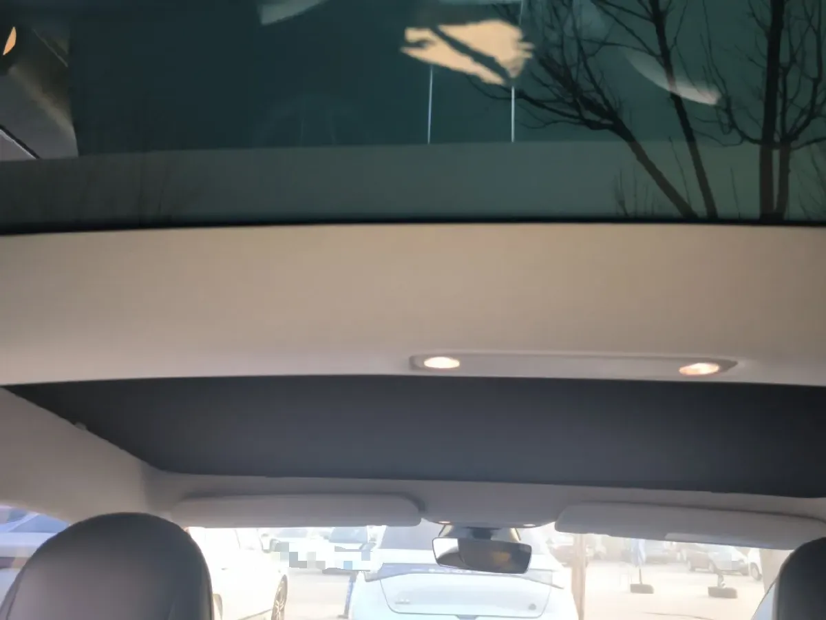 2020 Tesla Model 3 BEV 52KWH,autocango,china used car exporter,china ev exporter,chinese used car exporter,chinese used ev exporter