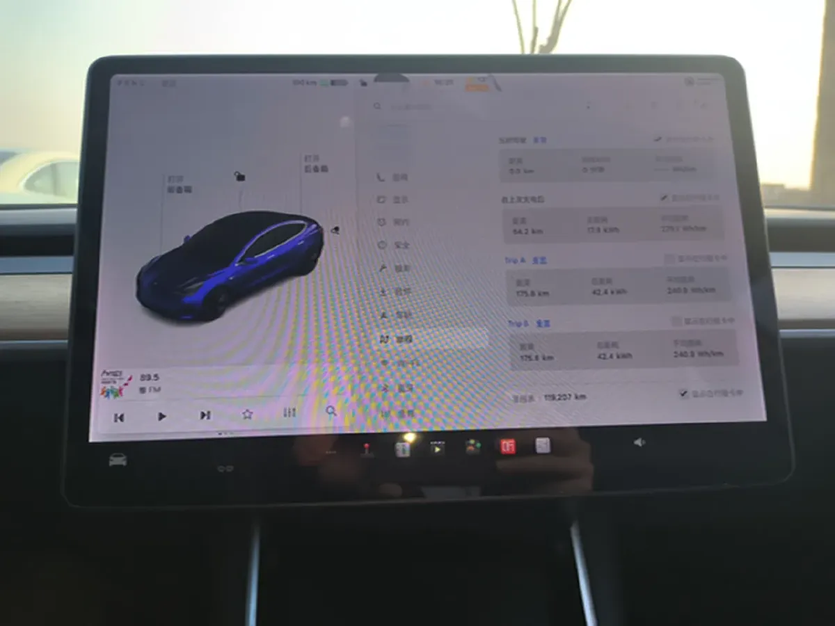 2020 Tesla Model 3 BEV 52KWH,autocango,china used car exporter,china ev exporter,chinese used car exporter,chinese used ev exporter