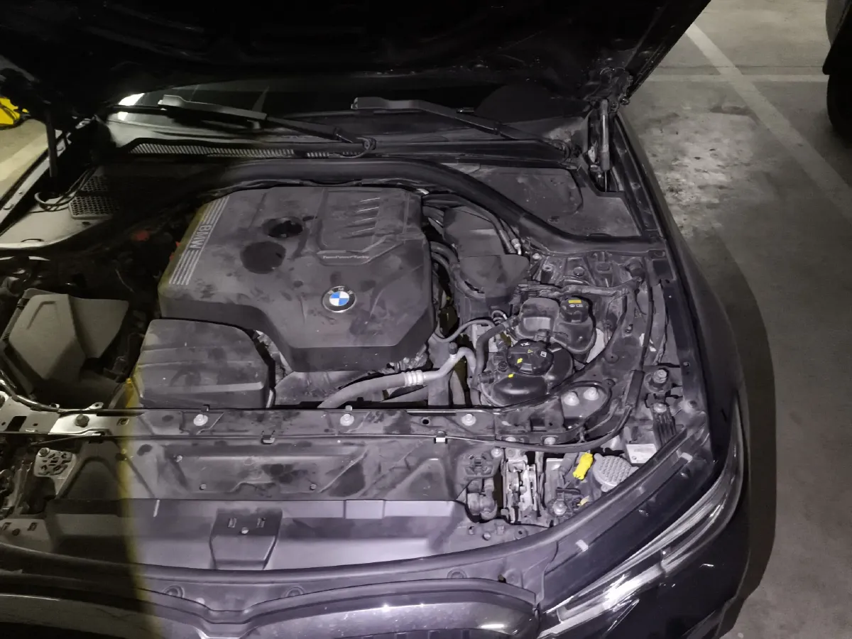 2020 BMW 3 Series 2.0T 184HP L4 8AT,autocango,china used car exporter,china ev exporter,chinese used car exporter,chinese used ev exporter