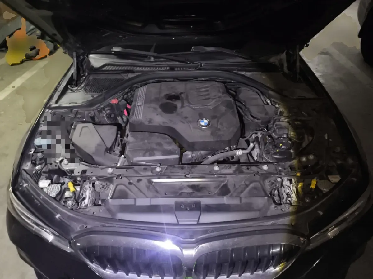 2020 BMW 3 Series 2.0T 184HP L4 8AT,autocango,china used car exporter,china ev exporter,chinese used car exporter,chinese used ev exporter