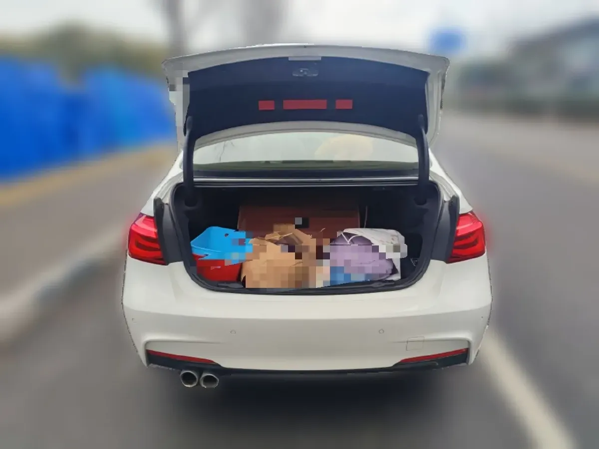 2018 BMW 3 Series 2.0T 184HP L4 8AT,autocango,china used car exporter,china ev exporter,chinese used car exporter,chinese used ev exporter