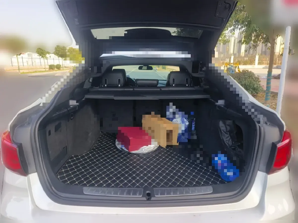 2020 BMW 3 Series GT 2.0T 184HP L4 8AT,autocango,china used car exporter,china ev exporter,chinese used car exporter,chinese used ev exporter