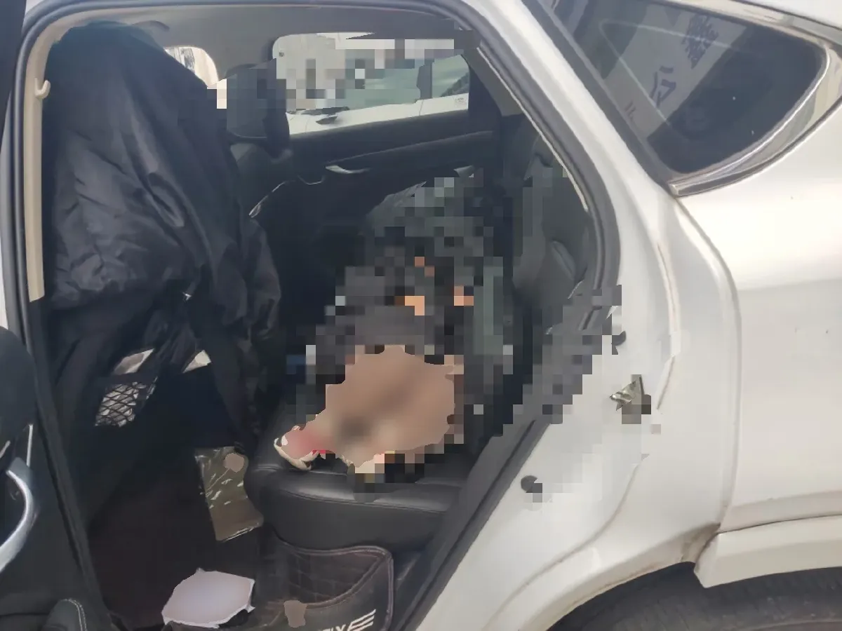 2020 Geely Tugella 2.0T 238HP L4 8AT,autocango,china used car exporter,china ev exporter,chinese used car exporter,chinese used ev exporter