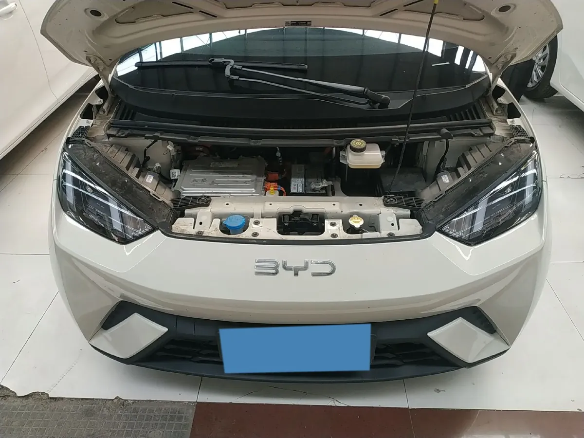 2025 BYD Seagull BEV 30.08KWH,autocango,china used car exporter,china ev exporter,chinese used car exporter,chinese used ev exporter