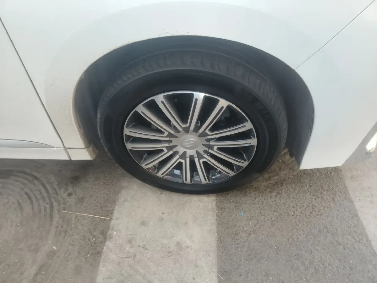 2021 GAC Trumpchi M8 2.0T 252HP L4 8AT,autocango,china used car exporter,china ev exporter,chinese used car exporter,chinese used ev exporter