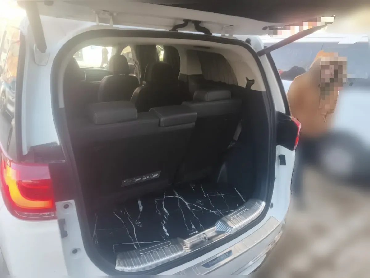 2021 GAC Trumpchi M8 2.0T 252HP L4 8AT,autocango,china used car exporter,china ev exporter,chinese used car exporter,chinese used ev exporter