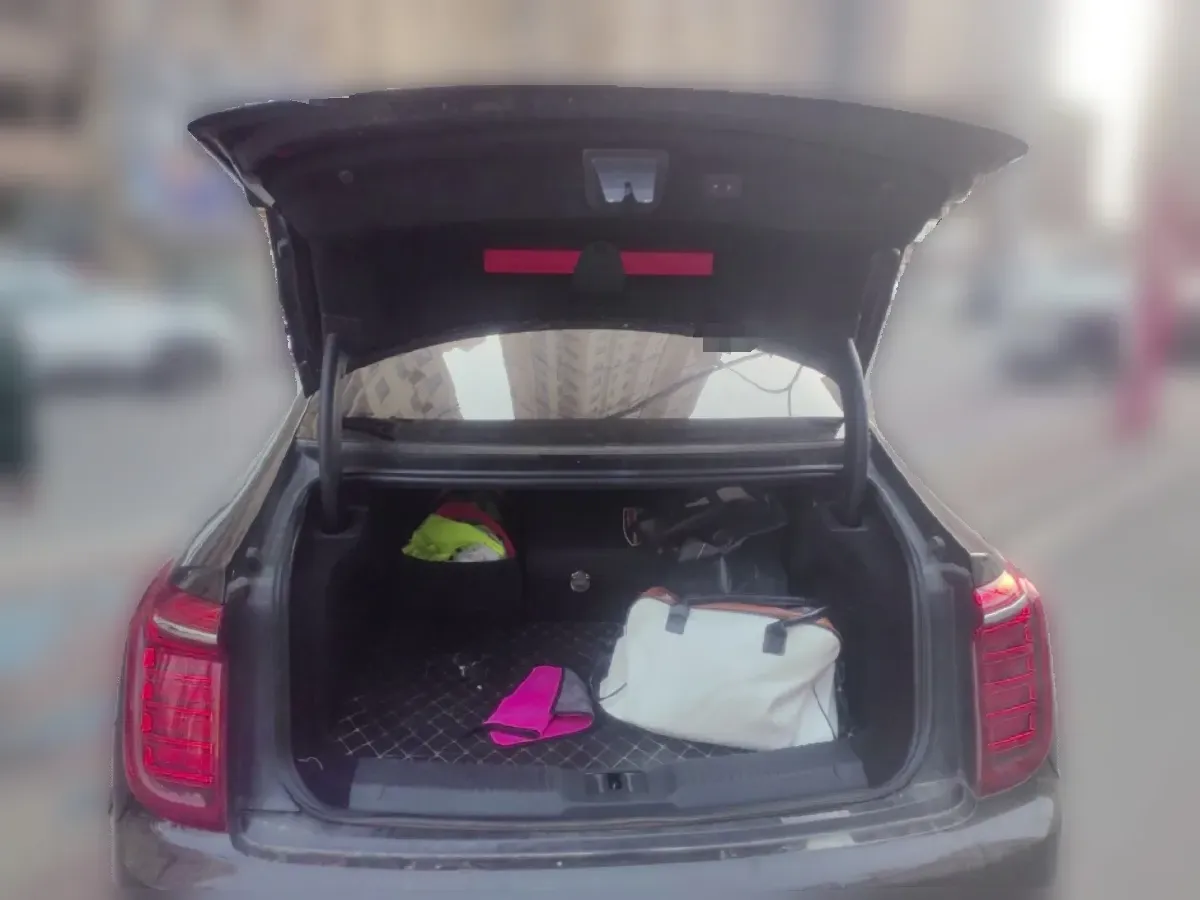 2020 HongQi H9 2.0T 252HP L4 7DCT,autocango,china used car exporter,china ev exporter,chinese used car exporter,chinese used ev exporter