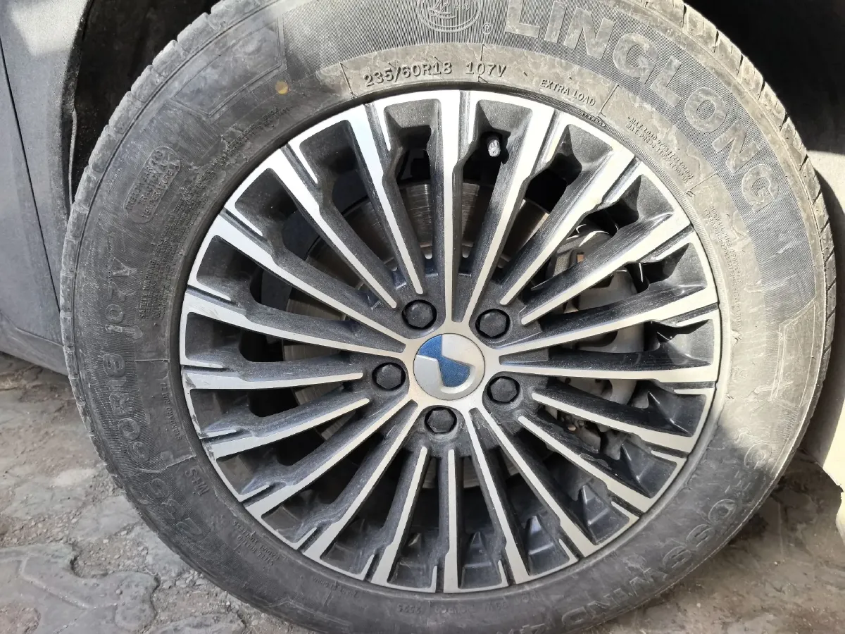 2022 Denza D9 1.5T 139HP L4 E-CVT PHEV 40.06KWH,autocango,china used car exporter,china ev exporter,chinese used car exporter,chinese used ev exporter