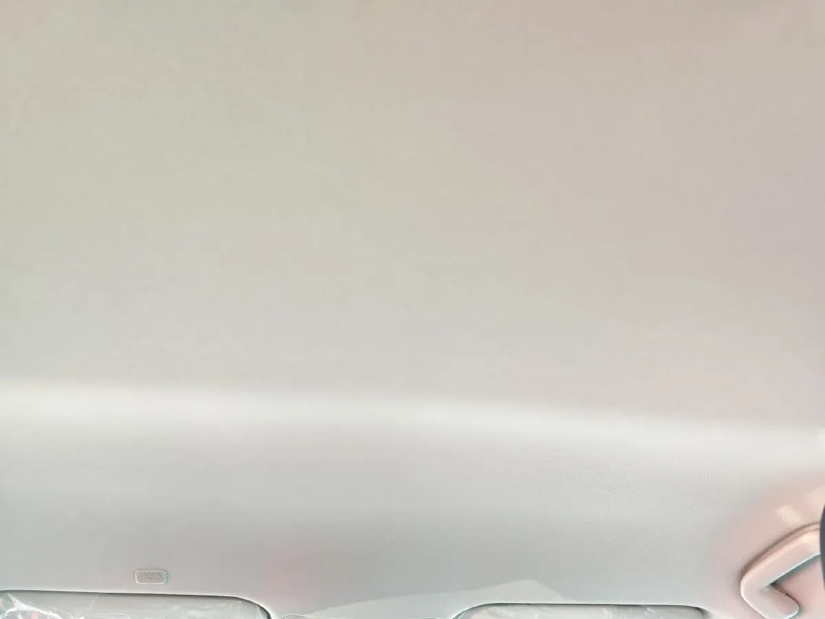 2024 Toyota Paptor 2.0L 152HP L4 E-CVT Hybrid,autocango,china used car exporter,china ev exporter,chinese used car exporter,chinese used ev exporter