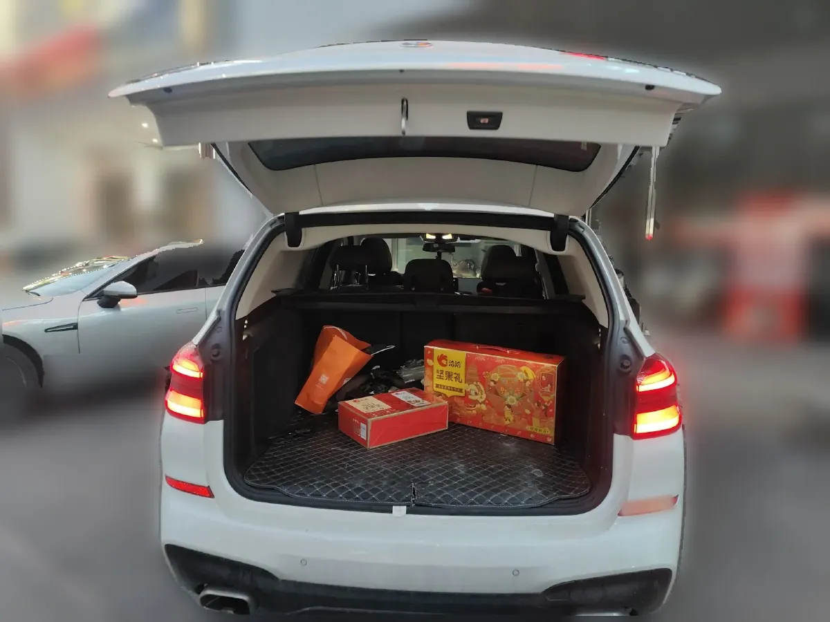 2020 BMW X3 2.0T 184HP L4 8AT,autocango,china used car exporter,china ev exporter,chinese used car exporter,chinese used ev exporter