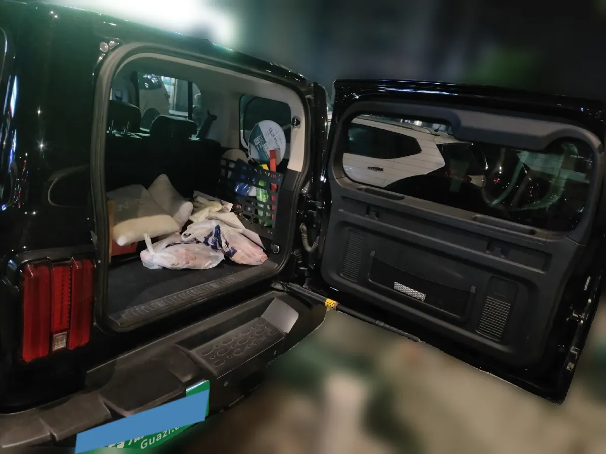 2021 Tank 300 2.0T 227HP L4 8AT,autocango,china used car exporter,china ev exporter,chinese used car exporter,chinese used ev exporter