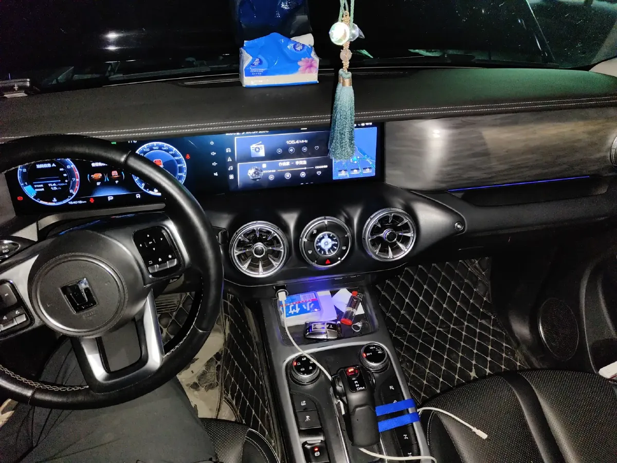 2021 Tank 300 2.0T 227HP L4 8AT,autocango,china used car exporter,china ev exporter,chinese used car exporter,chinese used ev exporter