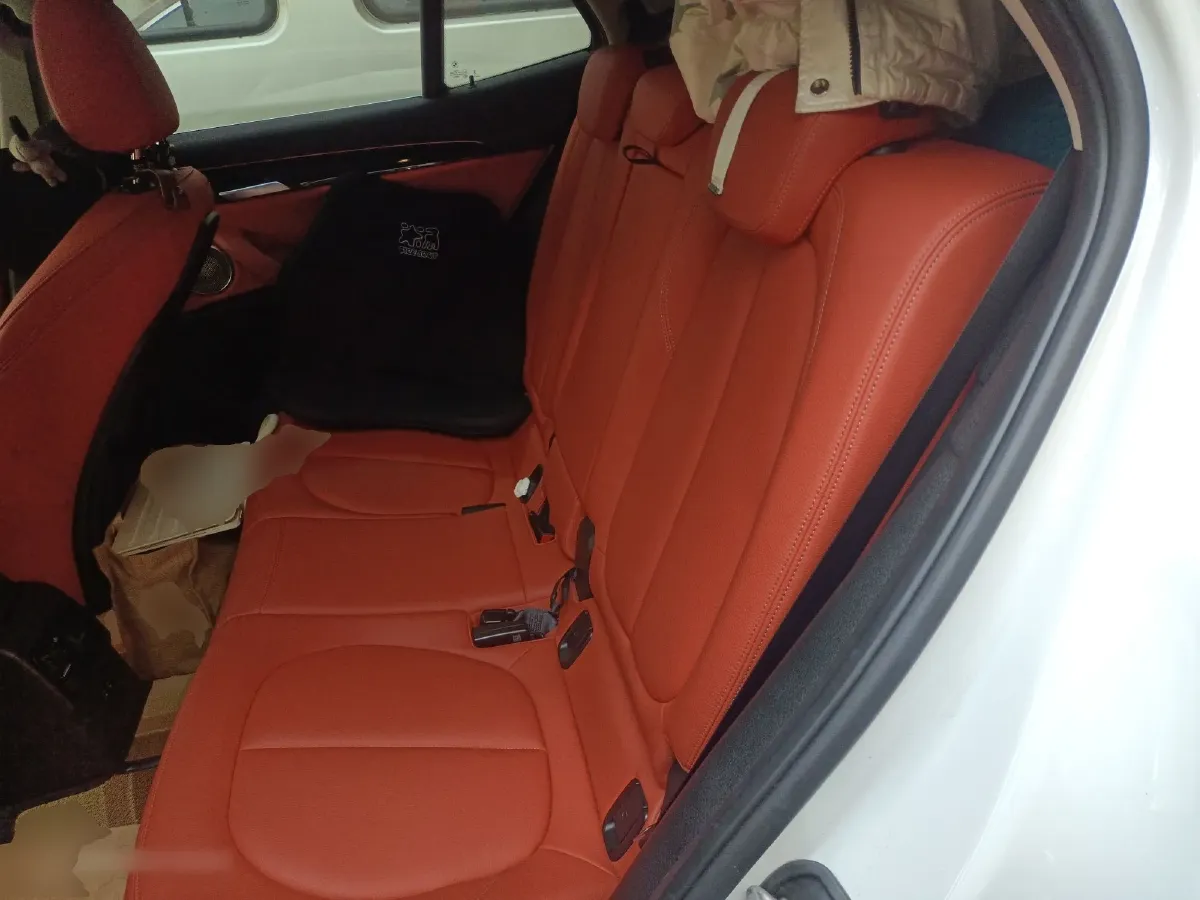 2023 BMW X2 2.0T 178HP L4 7DCT,autocango,china used car exporter,china ev exporter,chinese used car exporter,chinese used ev exporter