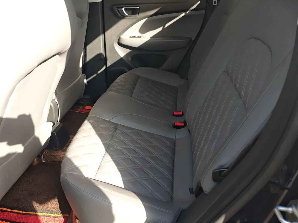 2021 Leapmotor T03 BEV 38KWH,autocango,china used car exporter,china ev exporter,chinese used car exporter,chinese used ev exporter