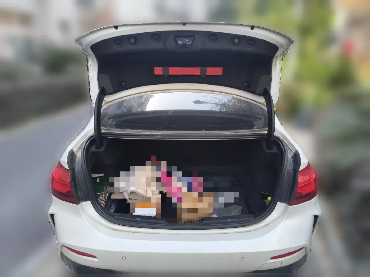 2019 BMW 1 Series 2.0T 192HP L4 8AT,autocango,china used car exporter,china ev exporter,chinese used car exporter,chinese used ev exporter