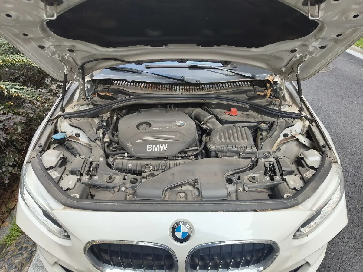 2019 BMW 1 Series 2.0T 192HP L4 8AT,autocango,china used car exporter,china ev exporter,chinese used car exporter,chinese used ev exporter