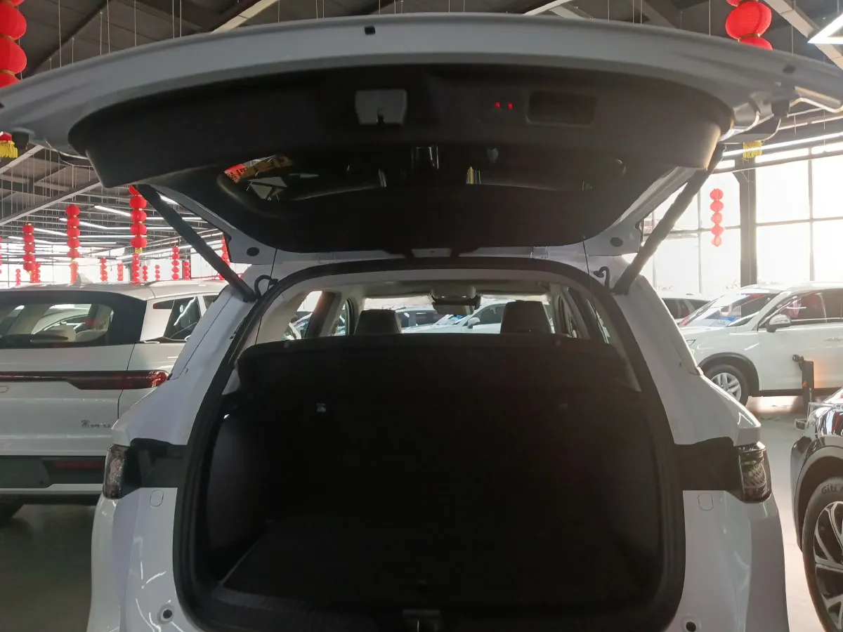 2025 BYD Sea Lion 05 DM-i 1.5L 101HP L4 E-CVT PHEV 12.9KWH,autocango,china used car exporter,china ev exporter,chinese used car exporter,chinese used ev exporter